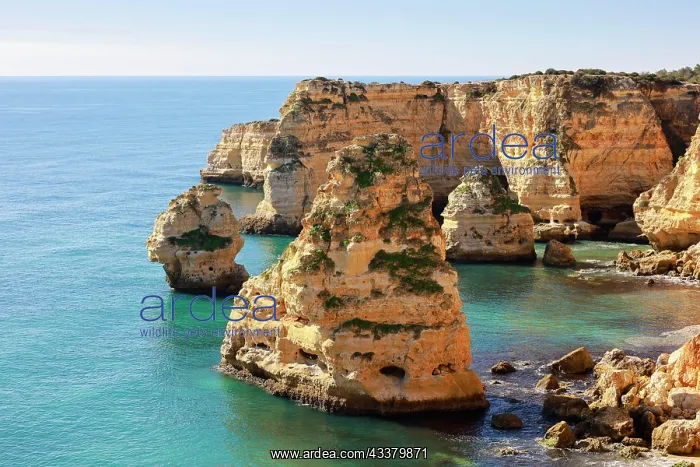 : Beautiful cliffs and rock formations by the Atlantic : Beautiful cliffs and rock formations by the Atlantic