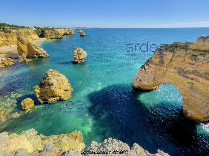: Beautiful cliffs and rock formations by the Atlantic : Beautiful cliffs and rock formations by the Atlantic