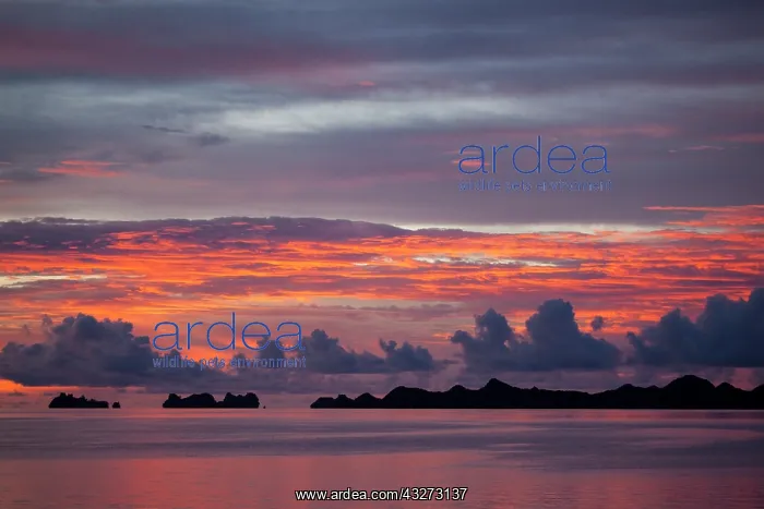 : Beautiful cloud formations at sunset in : Beautiful cloud formations at sunset in