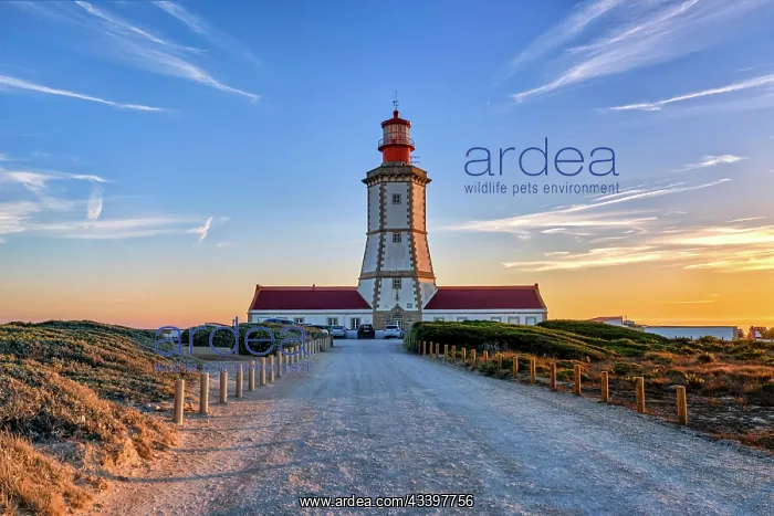 : Beautiful of coastal lighthouse in warm colors of : Beautiful of coastal lighthouse in warm colors of