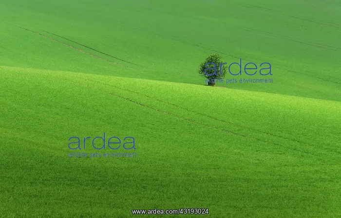 : Beautiful and colorful abstract landscape, with : Beautiful and colorful abstract landscape, with