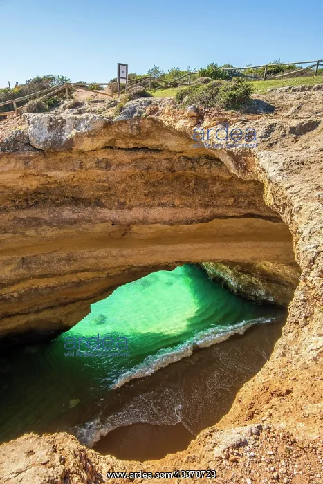 : Beautiful and famous Benagil Cave seen from the : Beautiful and famous Benagil Cave seen from the