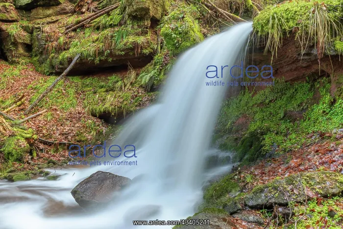 : Beautiful fresh mountain waterfall in a wild and : Beautiful fresh mountain waterfall in a wild and