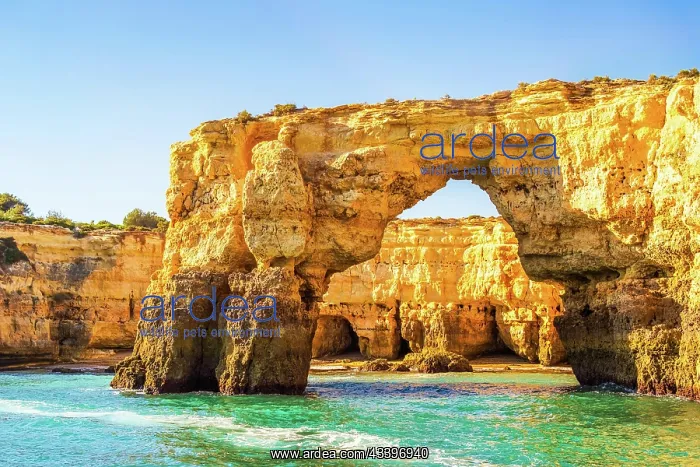 : Beautiful limestone Algarve coast with caves and : Beautiful limestone Algarve coast with caves and