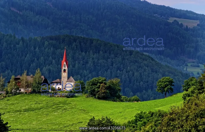 : Beautiful lonely 500 year old church called : Beautiful lonely 500 year old church called