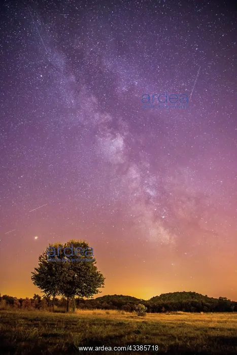 : Beautiful night scenery with stars, meadow and a : Beautiful night scenery with stars, meadow and a