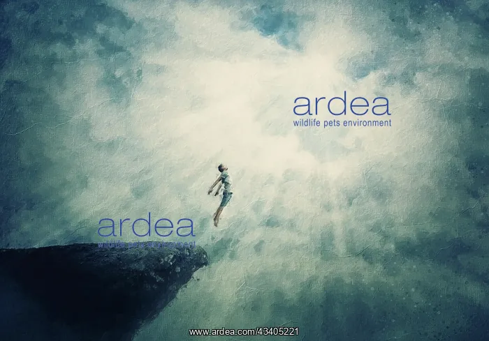 : Beautiful painting with a person jumping off a cliff : Beautiful painting with a person jumping off a cliff