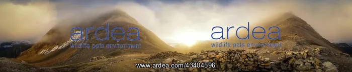 : Beautiful panorama of sunset in Kashmir mountains in India : Beautiful panorama of sunset in Kashmir mountains in India