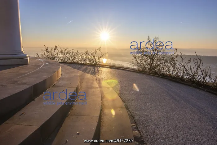: Beautiful park at sunrise on a winter morning : Beautiful park at sunrise on a winter morning