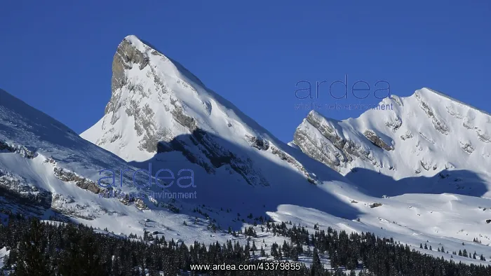  : Two beautiful peaks of the Churfirsten Range, Sw
