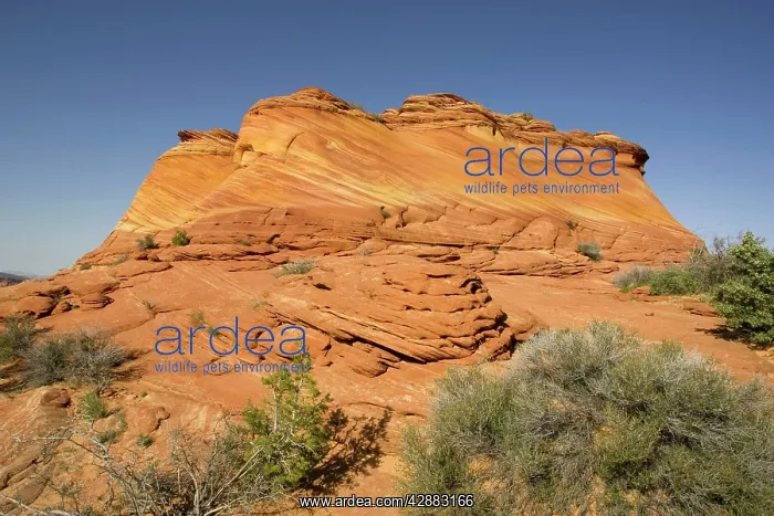 : Beautiful red and yellow striated Navajo sandstone : Beautiful red and yellow striated Navajo sandstone