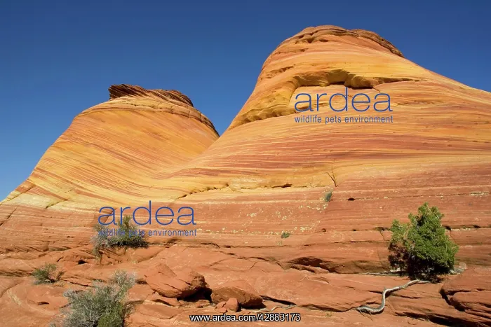 : Beautiful red and yellow striated Navajo sandstone : Beautiful red and yellow striated Navajo sandstone