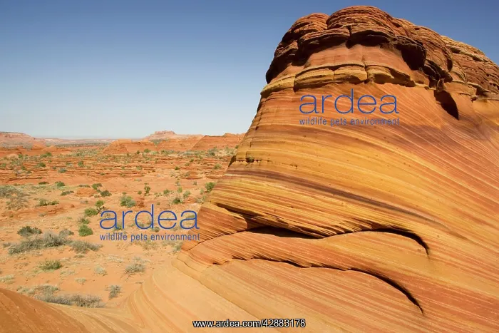 : Beautiful red and yellow striated Navajo sandstone : Beautiful red and yellow striated Navajo sandstone