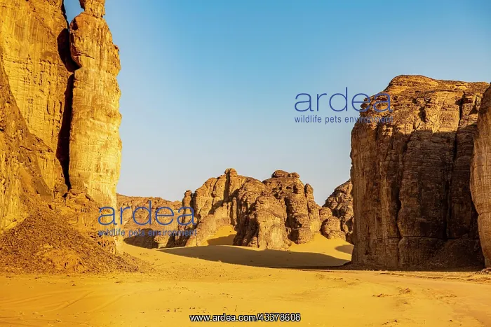 : Beautiful sandstone scenery, Al Ula, Kingdom of : Beautiful sandstone scenery, Al Ula, Kingdom of