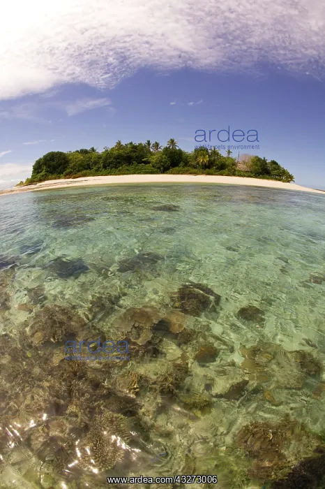 : Beautiful small tropical island (Storm Island) : Beautiful small tropical island (Storm Island)