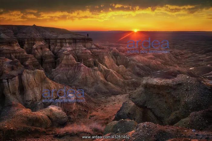 : Beautiful sunrise in Tsagaan suvarga. Dundgovi province : Beautiful sunrise in Tsagaan suvarga. Dundgovi province