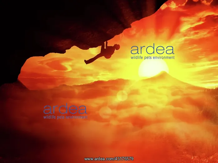 : Beautiful sunset background and an alpinist determined : Beautiful sunset background and an alpinist determined