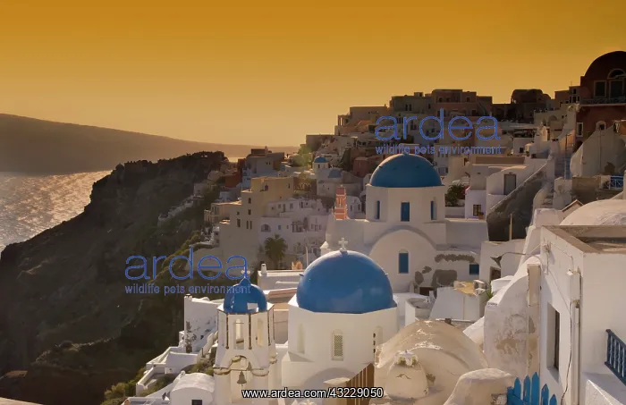 : Beautiful sunset over the cliffs looking : Beautiful sunset over the cliffs looking