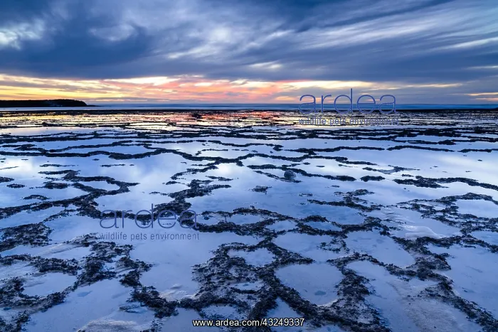 : A beautiful sunset over the ocean with rocky beach : A beautiful sunset over the ocean with rocky beach