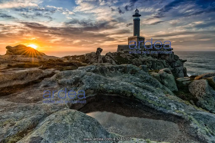 : A beautiful sunset at the Punta Nariga lighthouse in Galicia : A beautiful sunset at the Punta Nariga lighthouse in Galicia
