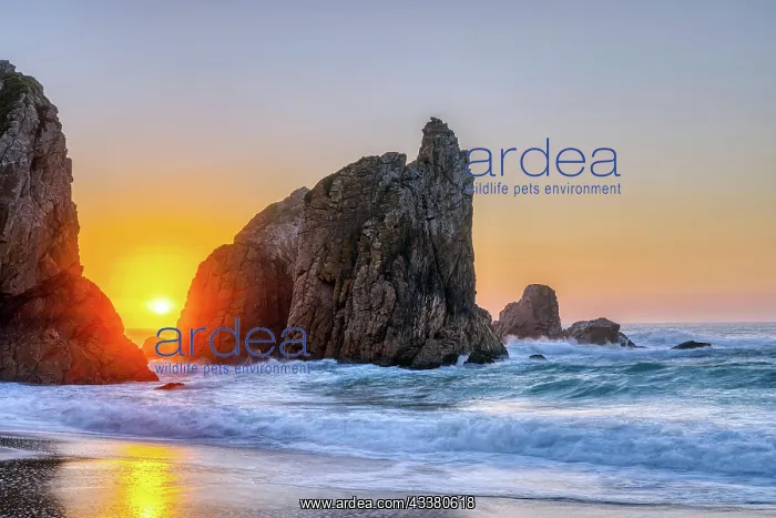 : Beautiful sunset on a rocky beach on the Atlanti : Beautiful sunset on a rocky beach on the Atlanti
