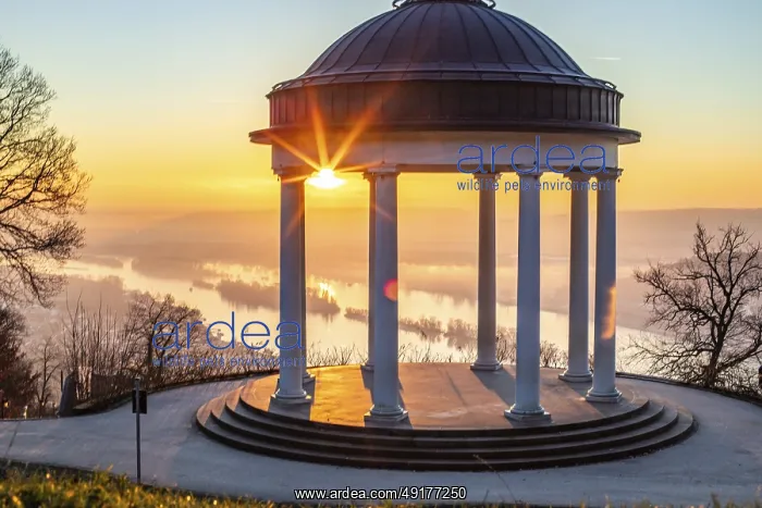 : Beautiful temple in a landscape shot : Beautiful temple in a landscape shot
