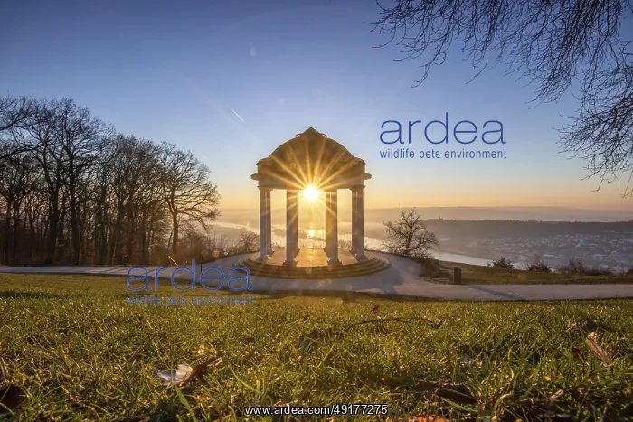 : Beautiful temple in a landscape shot : Beautiful temple in a landscape shot