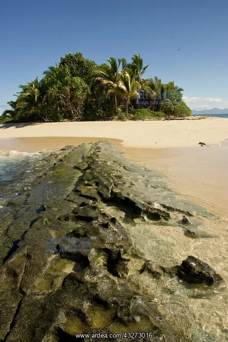 : Beautiful tropical island (Storm Island) : Beautiful tropical island (Storm Island)