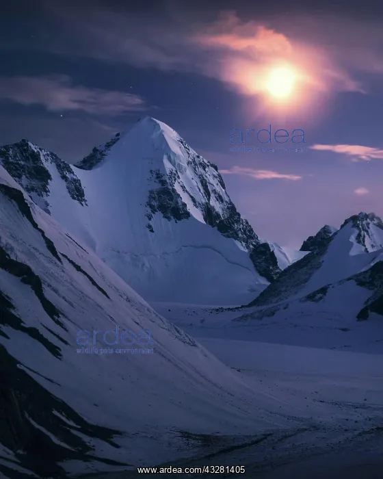 : Beautiful Tsagaan suvarga peak under moon light : Beautiful Tsagaan suvarga peak under moon light