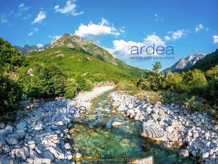 : Beautiful Valbona river valley in summer, Theth n : Beautiful Valbona river valley in summer, Theth n
