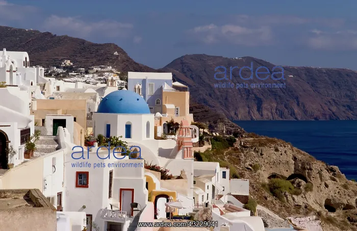 : Beautiful village of Oia with white buildings : Beautiful village of Oia with white buildings