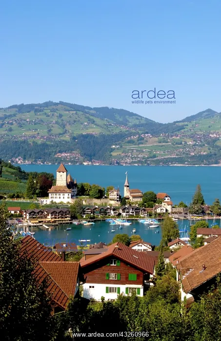 : Beautiful village of Spiez on Lake Thun : Beautiful village of Spiez on Lake Thun