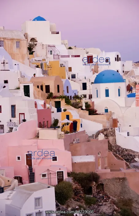 : The beautiful white buildings on the cliffs : The beautiful white buildings on the cliffs