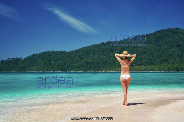 : Beautiful young woman in white bikini enjoy her : Beautiful young woman in white bikini enjoy her