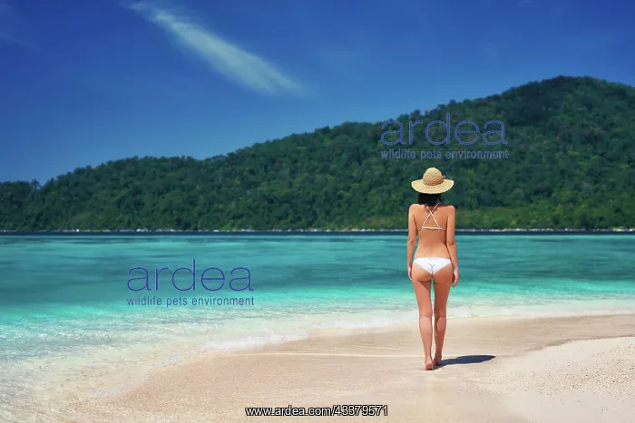 : Beautiful young woman in white bikini and straw : Beautiful young woman in white bikini and straw
