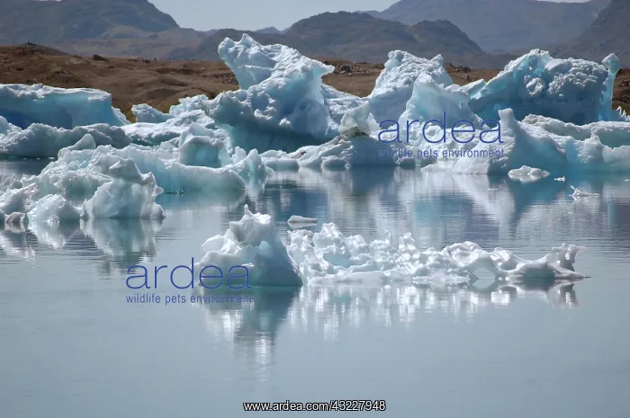 : The beauty of icebergs, Narsaq, Greenland : The beauty of icebergs, Narsaq, Greenland
