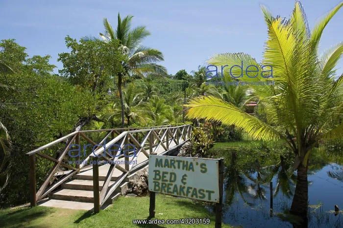 : Bed and breakfast hotel in a palm grove, Big Corn : Bed and breakfast hotel in a palm grove, Big Corn