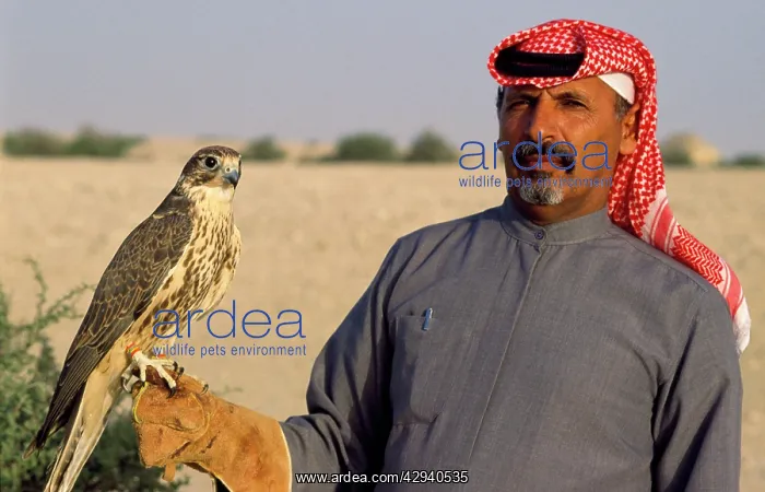  : Bedouin man - falconry