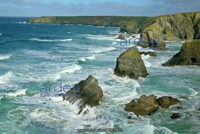 : Bedruthan Steps - overview over rugged coastline : Bedruthan Steps - overview over rugged coastline