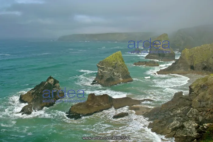 : Bedruthan Steps - overview over rugged coastline : Bedruthan Steps - overview over rugged coastline