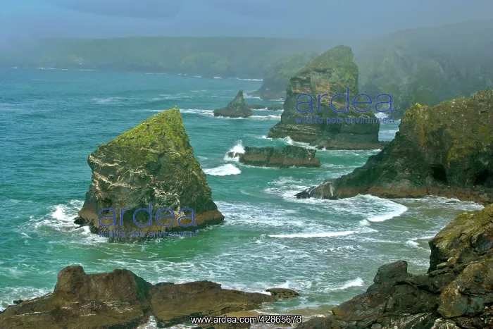 : Bedruthan Steps overview over rugged coastline : Bedruthan Steps overview over rugged coastline