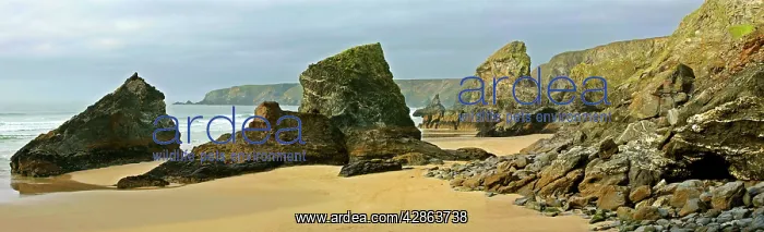 : Bedruthan Steps - rugged coastline with sea stacks : Bedruthan Steps - rugged coastline with sea stacks