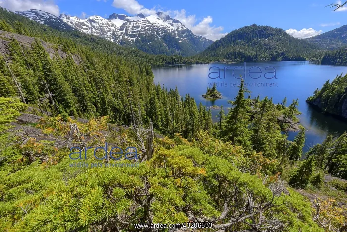 : Bedwell Lake, Strathcona Provincial Park. Protected : Bedwell Lake, Strathcona Provincial Park. Protected