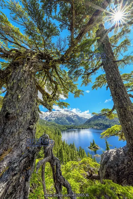 : Bedwell Lake, Strathcona Provincial Park. Protected : Bedwell Lake, Strathcona Provincial Park. Protected