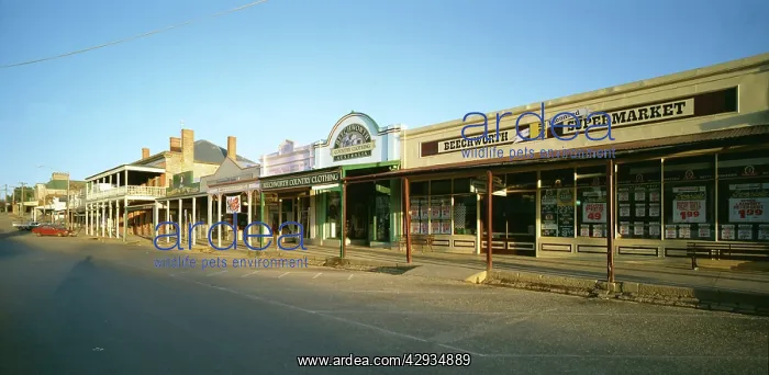  : Beechworth, 19th-century gold town, northeastern
