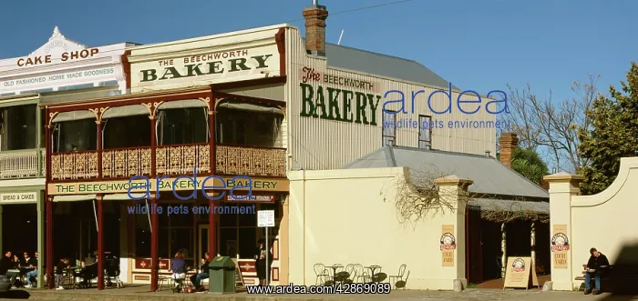 : Beechworth Bakery Northeastern Victoria : Beechworth Bakery Northeastern Victoria