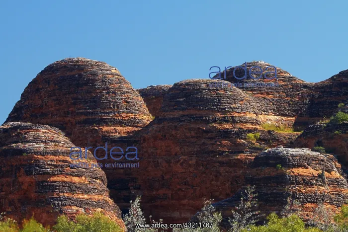 : Beehives, Bungle Bungles, Purnululu National : Beehives, Bungle Bungles, Purnululu National