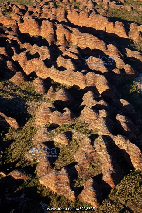 : Beehives, Bungle Bungles, Purnululu National : Beehives, Bungle Bungles, Purnululu National