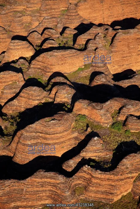 : Beehives, Bungle Bungles, Purnululu National : Beehives, Bungle Bungles, Purnululu National