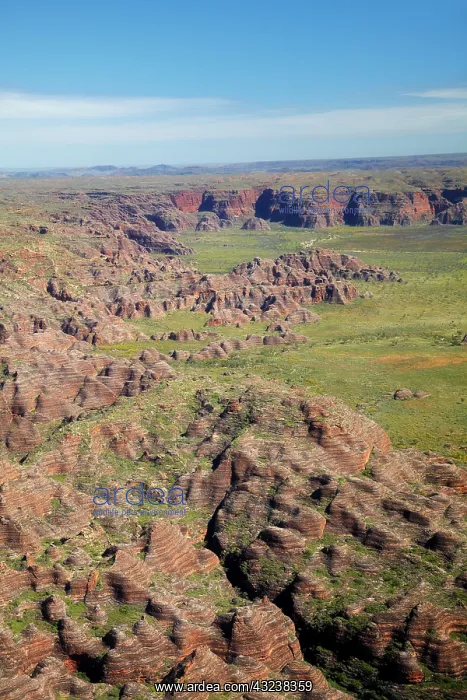 : Beehives, Bungle Bungles, Purnululu National : Beehives, Bungle Bungles, Purnululu National